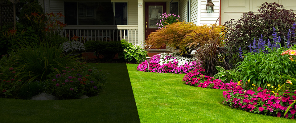 Mcminnville Landscapers